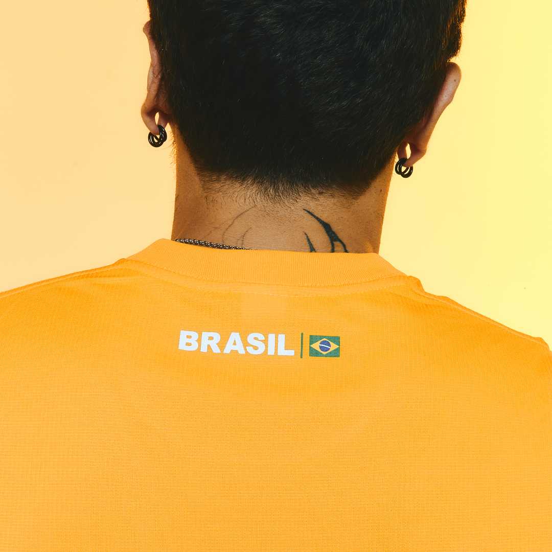 BRZ-BRA-BANDEIRA -7-